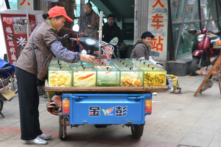 Légumes saumurés, Nanning, Chine (Copier)